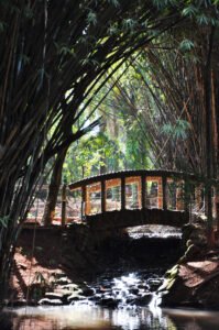 O Parque Ecológico Municipal "Engenheiro Cid Almeida Franco" - Zoo Americana disponibiliza entrada gratuita aos moradores de Americana neste final de semana