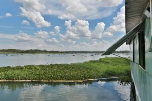 Gaema ingressou com ação civil contra Cetesb e CPFL energias Renováveis.