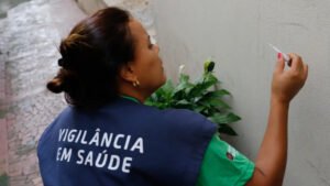 Ação de combate aos criadouros do mosquito transmissor da dengue, o Governo de SP convocou, para esta sexta-feira (1), todos os 645 municípios paulistas para o "Dia D de Mobilização Estadual” contra as arboviroses urbanas