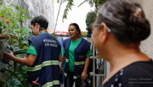 Os municípios com o maior número de infectados por 100 mil habitantes são Dois Córregos (6.013 casos em 100 mil habitantes), Mineiros do Tietê (3.909), e Pederneiras (4.015). As três cidades ficam na região de Bauru. Brodowski, na região de Ribeirão Preto, está com índice 6.281.