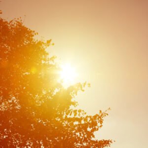 Onda de calor e baixa umidade atingem Americana até sexta