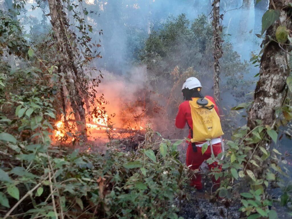 Número de incêndios florestais em SP tem queda de 41% em junho