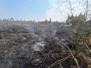 Atuaram equipes da Defesa Civil Municipal da Prefeitura, unidade do Corpo de Bombeiros da PM em Nova Odessa, bombeiros civis voluntários e Coden Ambiental, que chegaram rapidamente ao local.