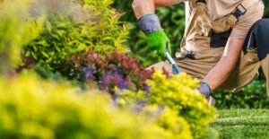 Sebrae-SP promove curso gratuito de jardinagem em Americana 