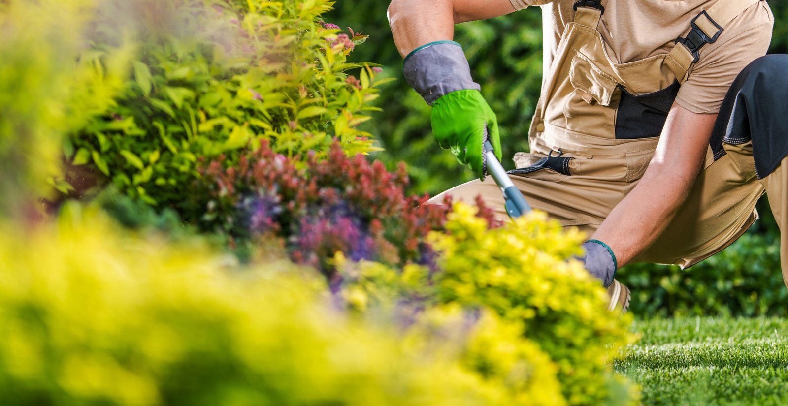 Sebrae-SP promove curso gratuito de jardinagem em Americana 