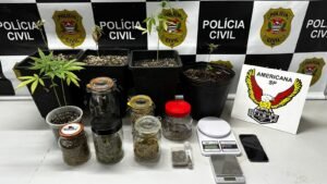 Durante as buscas na residência do suspeito, foram encontrados 72 gramas de flores de maconha armazenados em seis potes de vidro, além de vasos com pés da planta, pesando 25 gramas, e dois frascos contendo 46 gramas de sementes de maconha. Também foram apreendidas duas balanças de precisão e um celular, possivelmente utilizadas na atividade criminosa.