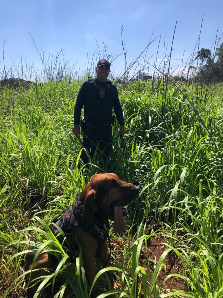 Os patrulheiros da GAMA iniciaram os procedimentos, e na tarde desta segunda-feira (11) o cão Duque, da raça Bloodhound, localizou o restante do corpo às margens da Rodovia Zeferino Vaz..