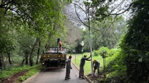 A Prefeitura de Americana, por meio da Secretaria de Obras e Serviços Urbanos (Sosu), está modernizando e ampliando a iluminação do Jardim Botânico Municipal "Prefeito Carroll Meneghel", substituindo as luminárias convencionais por lâmpadas de LED..