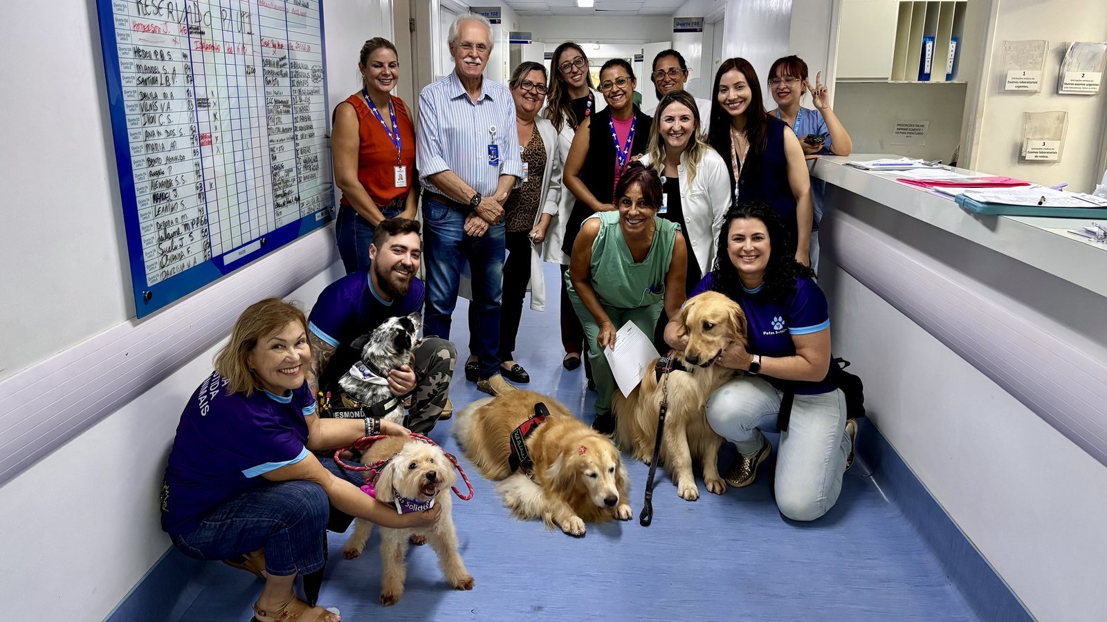 Cães terapeutas levam bem-estar a pacientes do Hospital Municipal de Americana