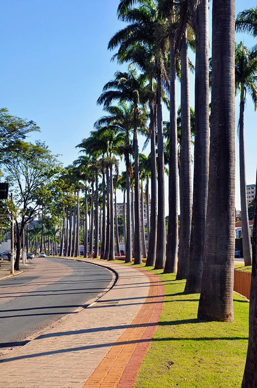 Jovem de 21 anos morador de Santa Bárbara morre em acidente de trânsito na Avenida Brasil, em Americana