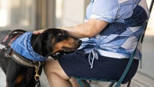 Cães terapeutas levam conforto e alegria ao Hospital Municipal de Americana