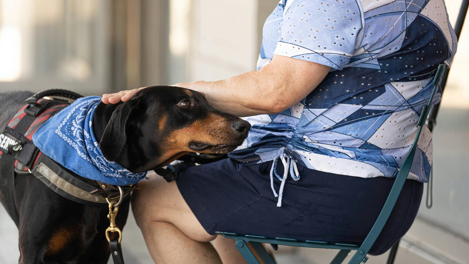 Cães terapeutas levam conforto e alegria ao Hospital Municipal de Americana