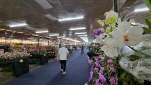 Americana terá Feira AgroUrbana e Exposição Nacional de Orquídeas até domingo na FIDAM