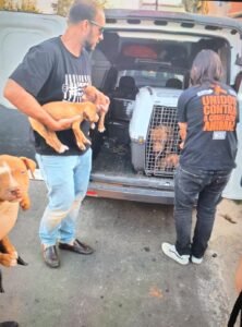 Cadelas e filhotes são resgatados em situação de maus-tratos em Americana