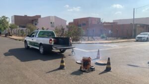 DAE avança com desinsetização nas regiões do Mário Covas, Jardim da Paz e Liberdade