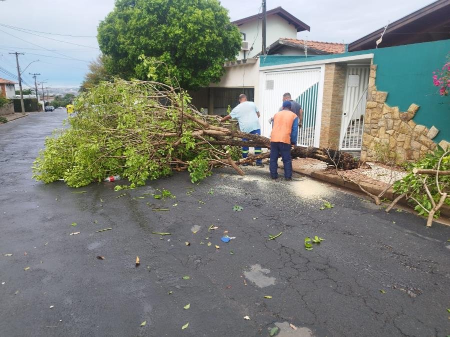 Prefeitura mobiliza equipes após chuva causar destelhamentos e quedas de árvores em Nova Odessa
