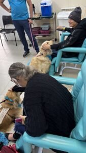 Terapia com cães e música traz conforto a pacientes oncológicos da Unacon