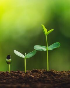 Após incêndio no Jardim Firenze, Escolinha Todotom promove plantio de 80 mudas em ação de reflorestamento