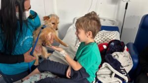 Cães terapeutas estimulam a recuperação de pacientes do Hospital Municipal e da Unacon