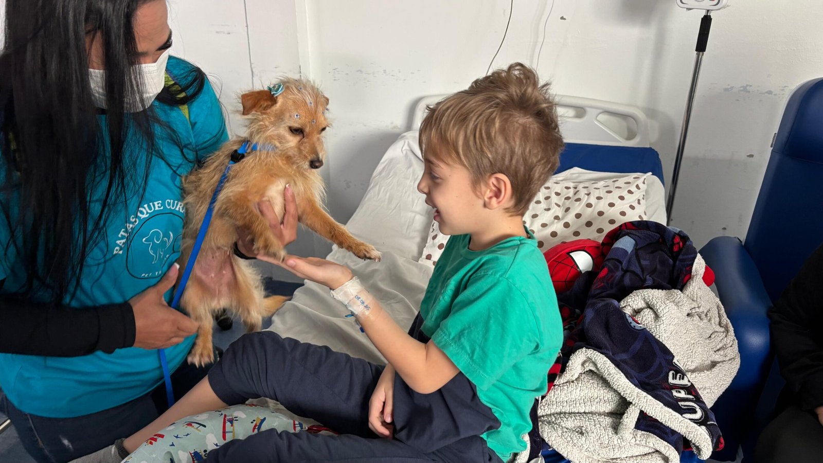 Cães terapeutas estimulam a recuperação de pacientes do Hospital Municipal e da Unacon