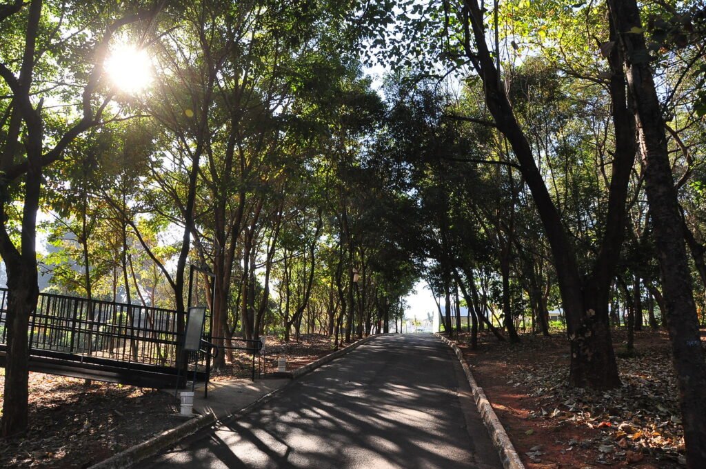 Jardim Botânico de Americana comemora 18 anos com programação especial neste sábado