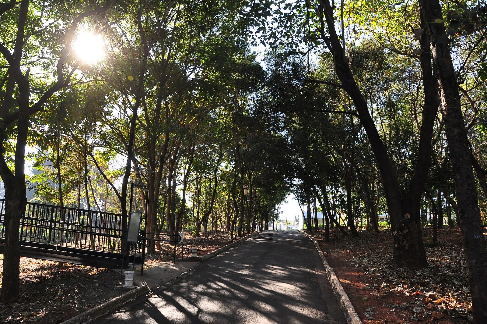 Jardim Botânico de Americana comemora 18 anos com programação especial neste sábado