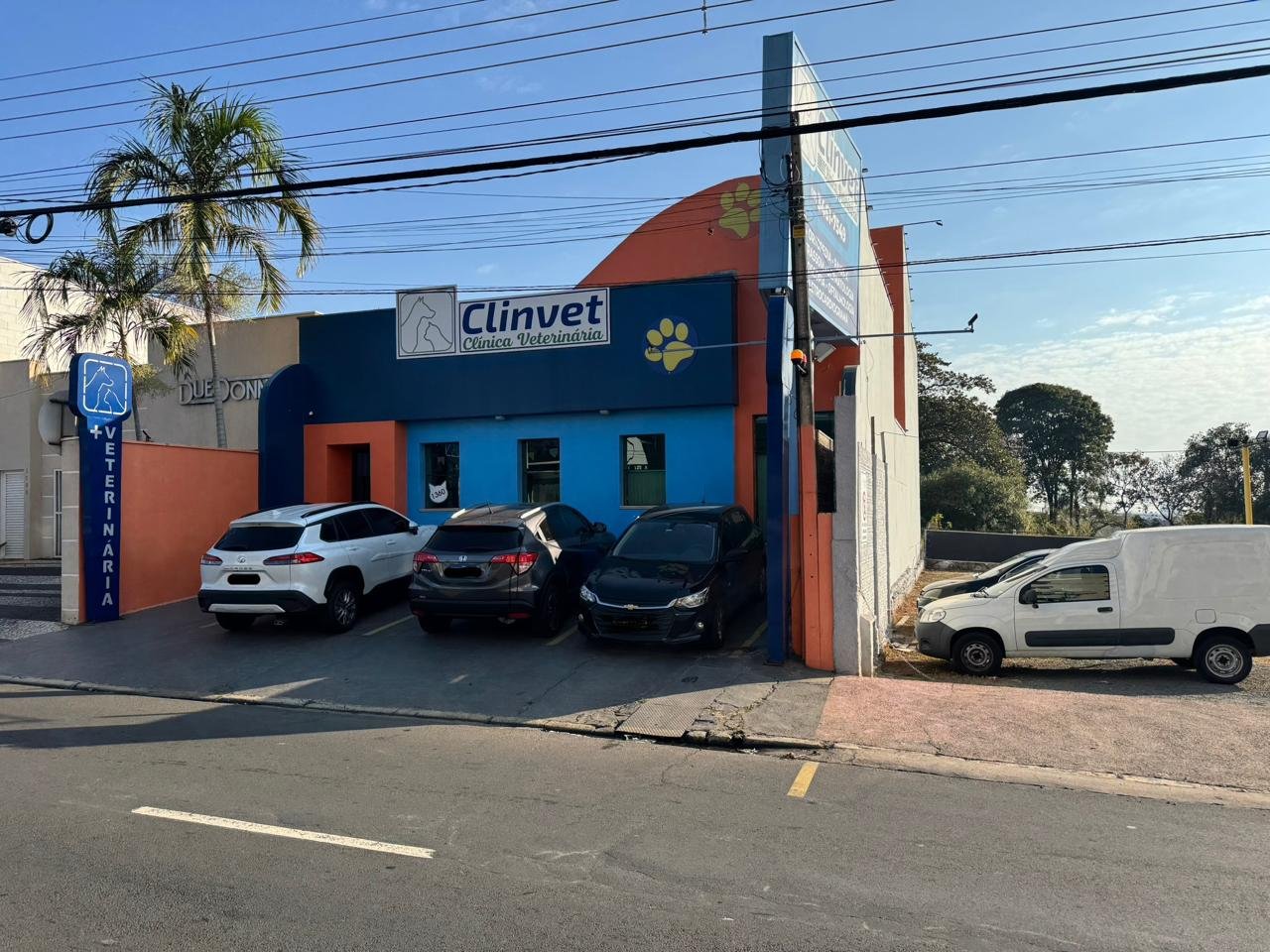 Outubro Rosa também é para os pets Americana terá ação especial contra o câncer de mama em fêmeas