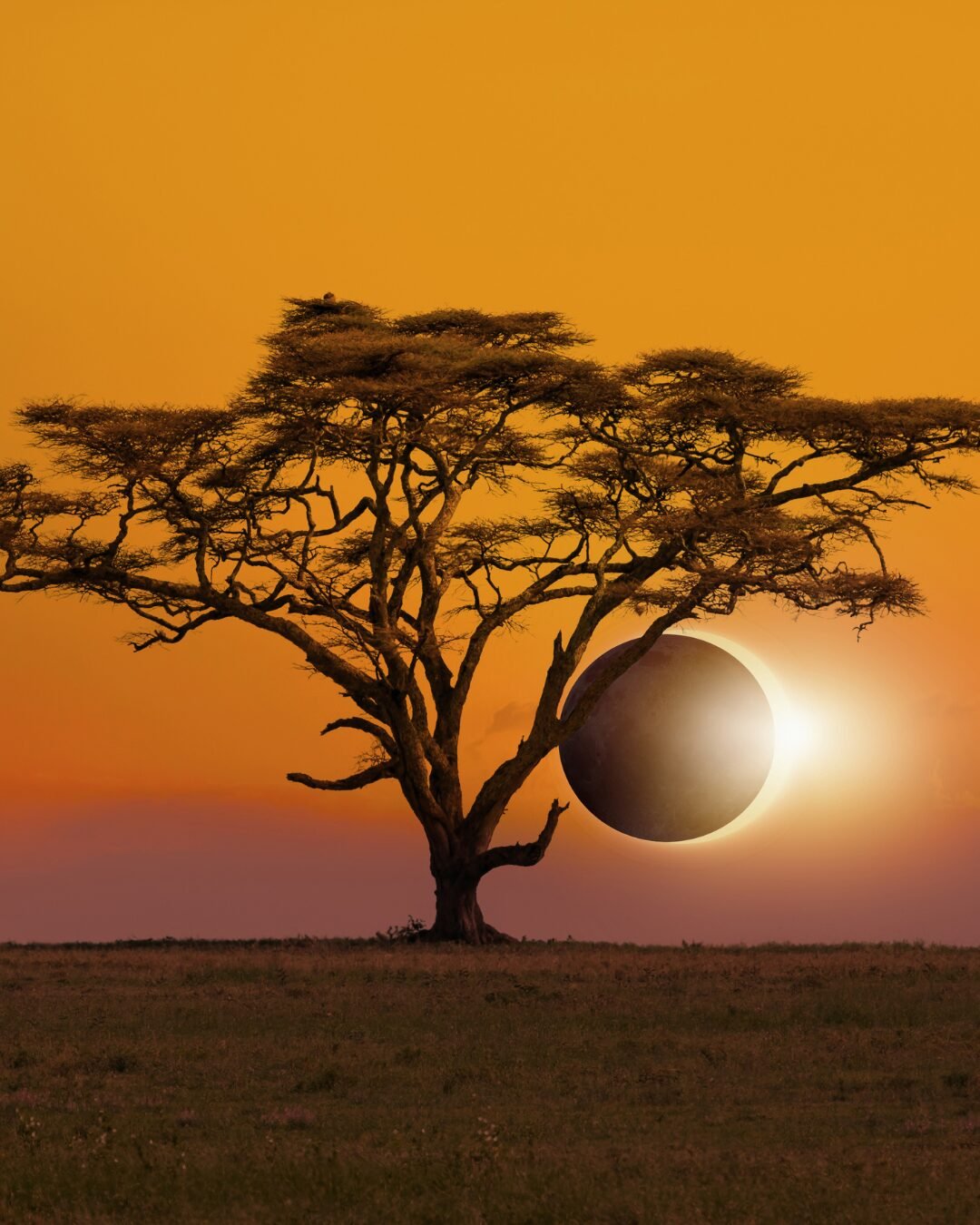 Eclipse solar mais longo do século 21 acontecerá em 2027 e terá ápice no Egito