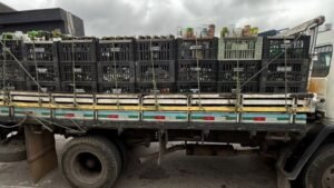 Polícia Civil faz operação contra bebidas adulteradas em Americana e outras cidades do interior de SP