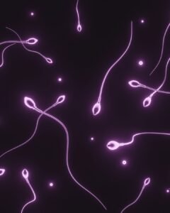 Doador de sêmen transmite mutações a quase 200 crianças em 14 países