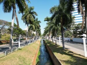 Americana lidera geração de empregos em diversos setores no Estado e no País