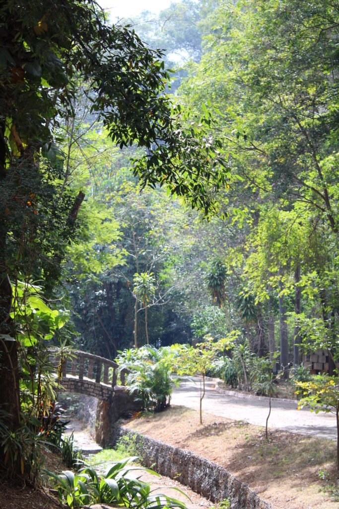 Parque Ecológico tem entrada gratuita para moradores de Americana no final de semana
