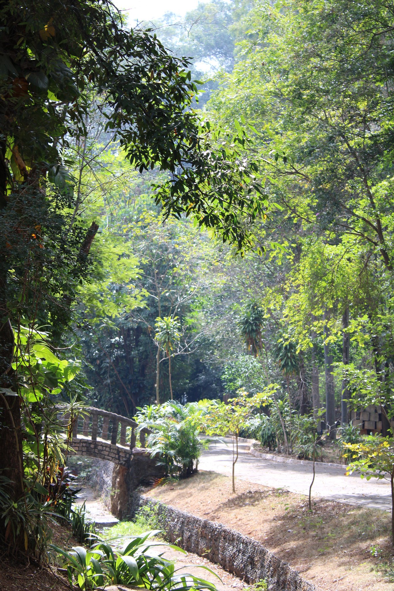Parque Ecológico tem entrada gratuita para moradores de Americana no final de semana