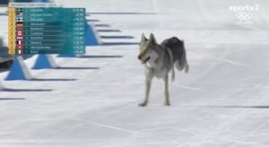 Cachorro invade pista e interfere em prova de brasileira no esqui cross-country nas Olimpíadas de Inverno