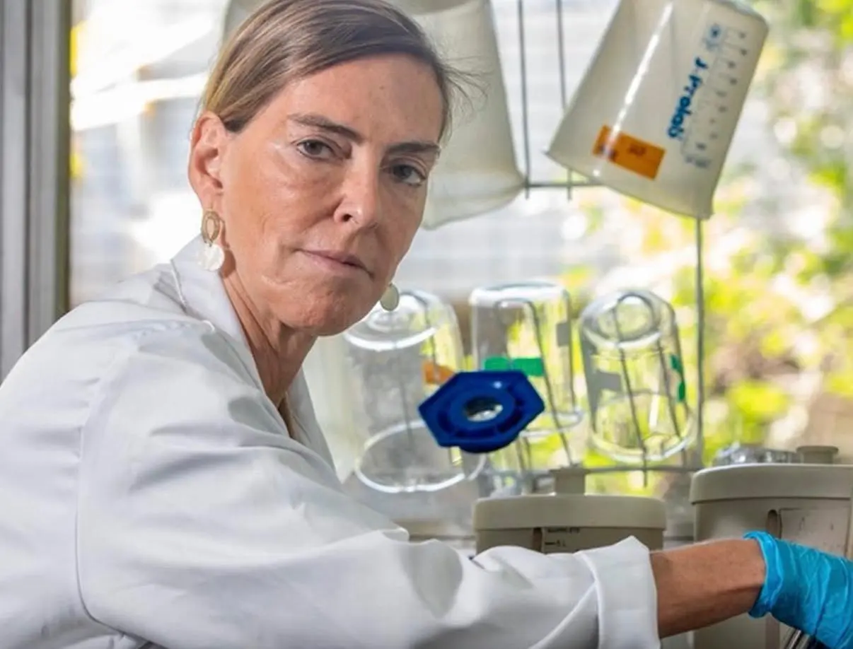 Médico alerta para perfis falsos que se passam por pesquisadora ligada à polilaminina