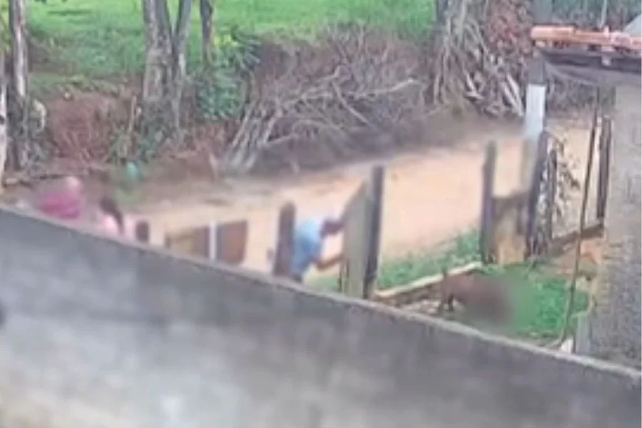 Polícia apura se bebê de 11 meses morto por pitbull já estava sem vida antes do ataque