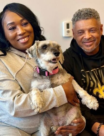 Cachorrinha desaparecida há dois anos é encontrada a mais de 2 mil km de casa