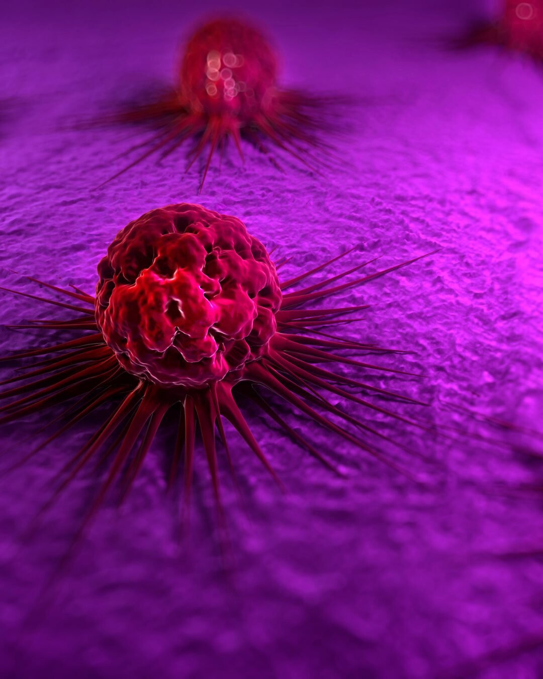 Cientistas estudam bactéria que pode “comer” tumores de câncer por dentro