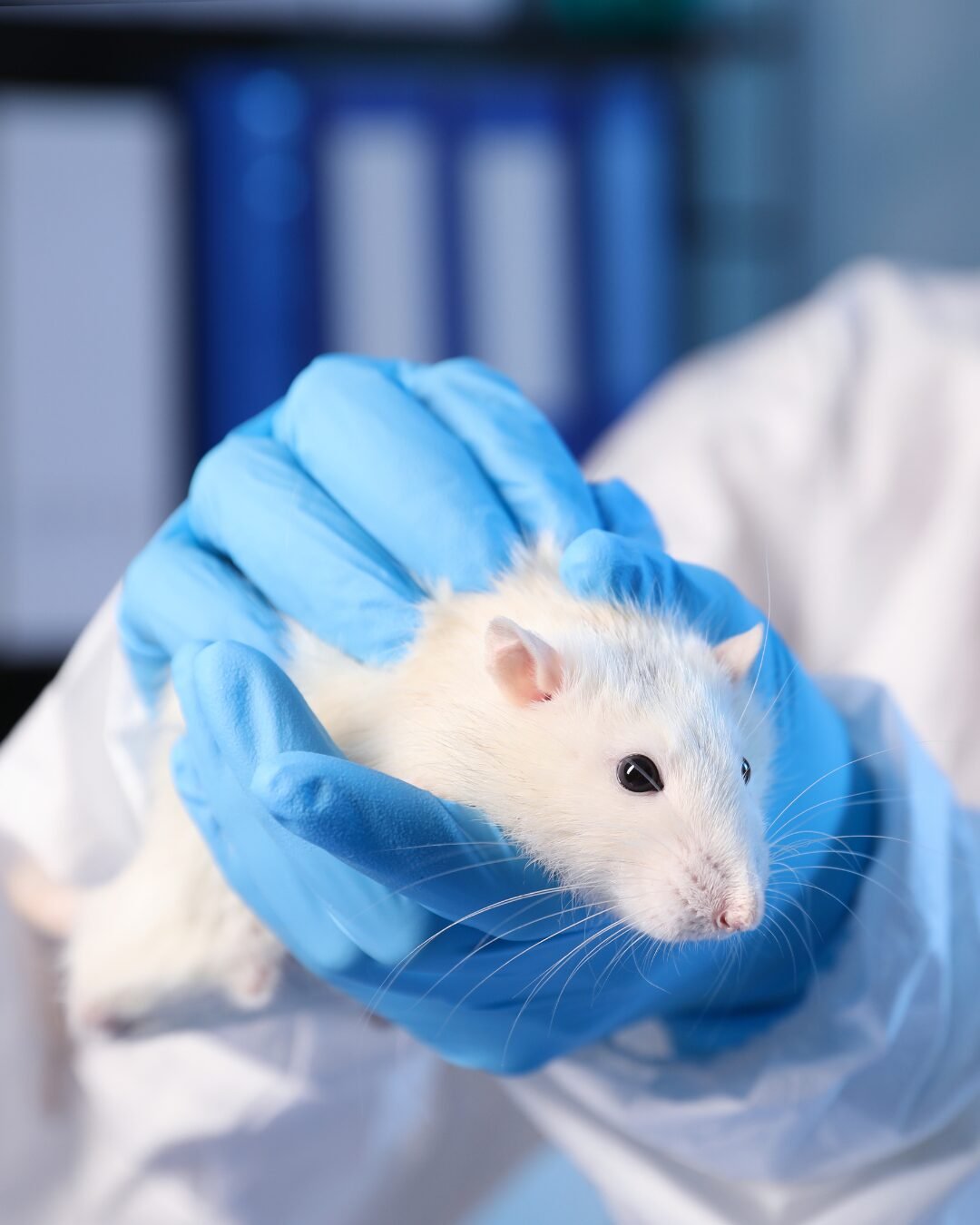 Nova esperança para quem vive com diabetes tipo 1 estudo cura doença em ratos