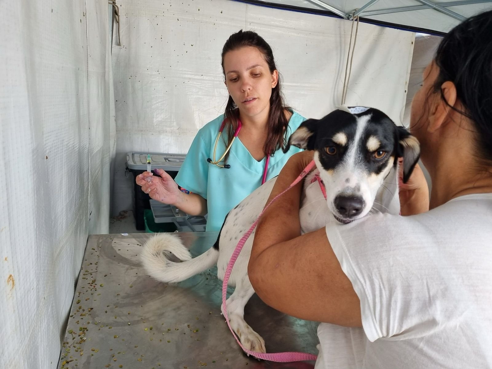 Prefeito Chico anuncia implantação de serviço móvel para cães e gatos em Americana