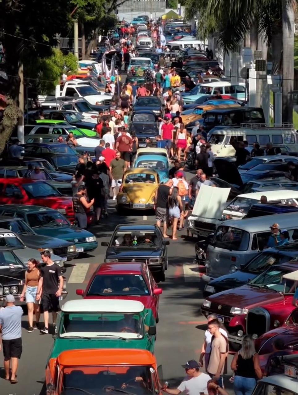 Fundo Social de Solidariedade recebe 830 quilos de alimentos arrecadados no 9º Encontro de Carros Antigos