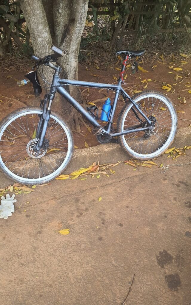 Gama detém dois indivíduos por furto em residência no Parque Universitário
