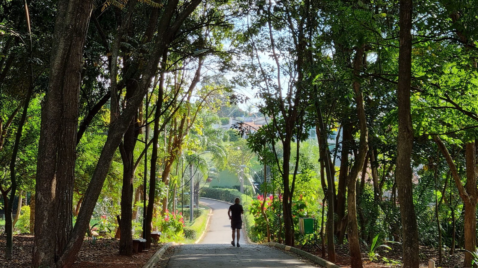 Parque Ecológico e Jardim Botânico de Americana abrem normalmente no feriado prolongado