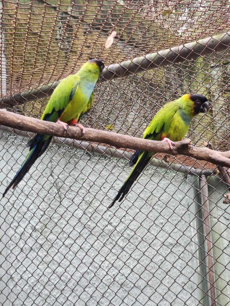 Moradores de Americana podem visitar gratuitamente o Parque Ecológico neste fim de semana
