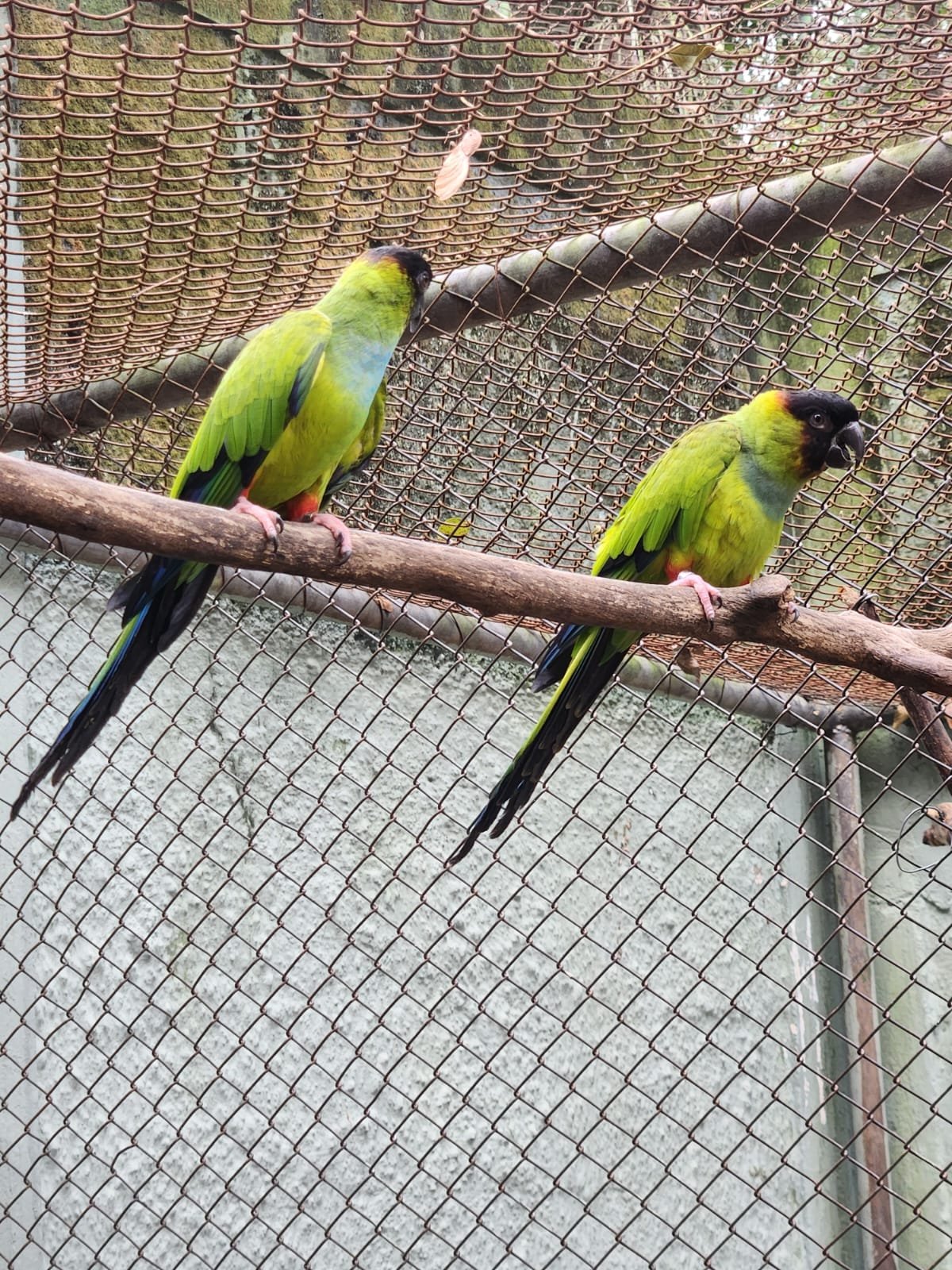Moradores de Americana podem visitar gratuitamente o Parque Ecológico neste fim de semana